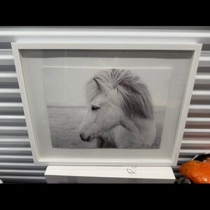 Framed Black and White Horse Photograph